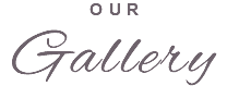 Our Gallery